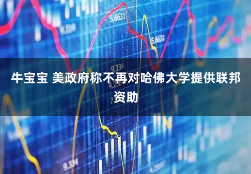 牛宝宝 美政府称不再对哈佛大学提供联邦资助
