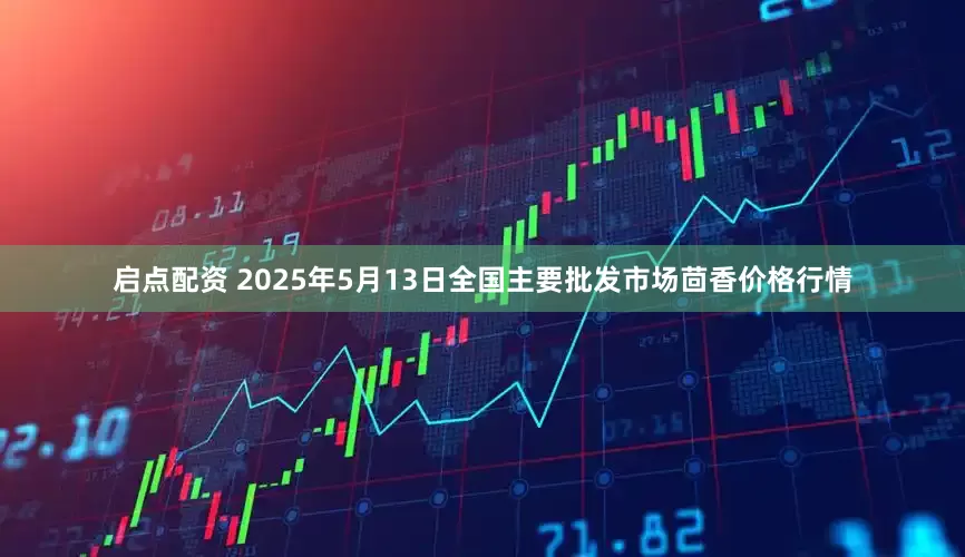 启点配资 2025年5月13日全国主要批发市场茴香价格行情