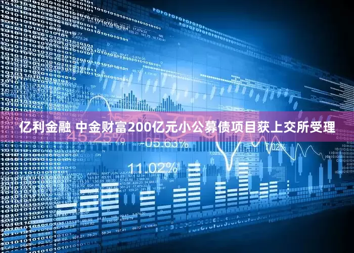 亿利金融 中金财富200亿元小公募债项目获上交所受理